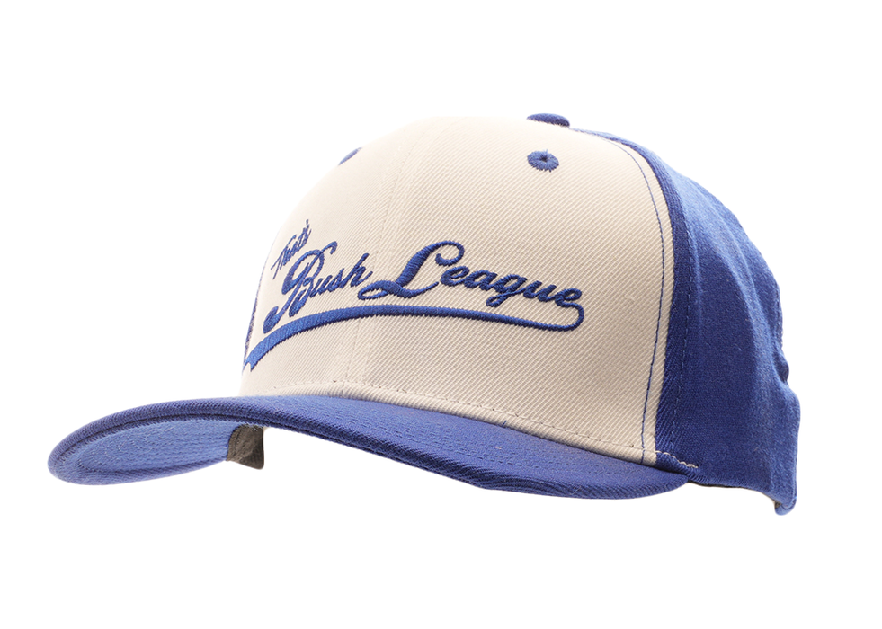 That's Bush League Hat - Flex Fit